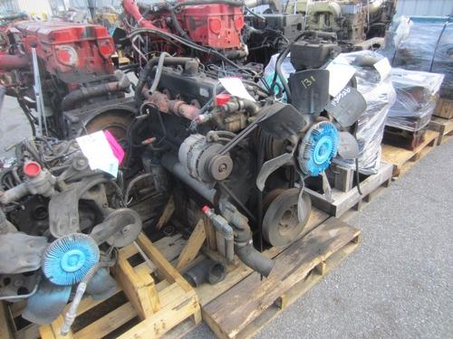 INTERNATIONAL DT466A ROTARY PMP Engine Assembly