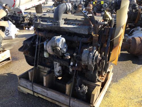 CUMMINS L10 Engine Assembly