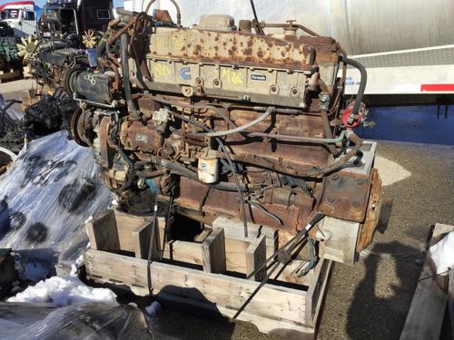 CUMMINS BCIII Engine Assembly