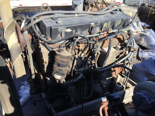 CUMMINS M11 CELECT Engine Assembly