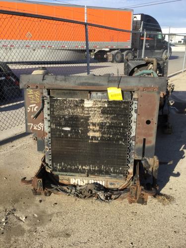 INTERNATIONAL DT466E Engine Assembly