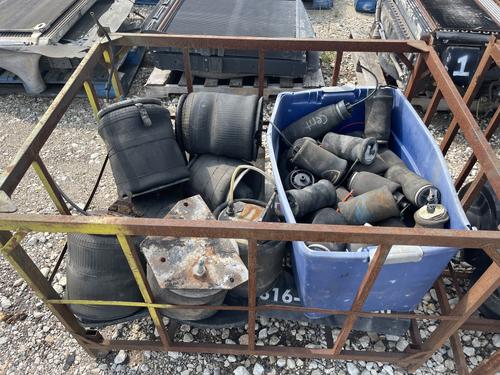 FREIGHTLINER  AIR BAG (SPRING)