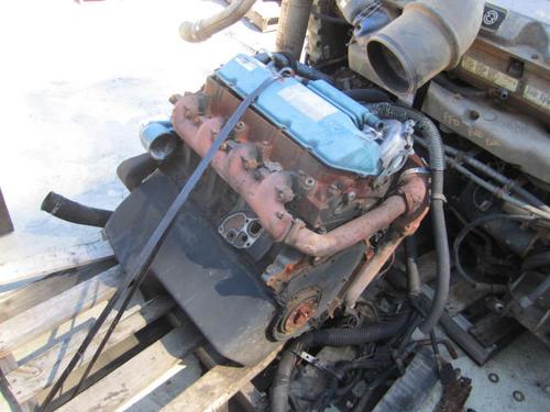 INTERNATIONAL T444E Engine Assembly