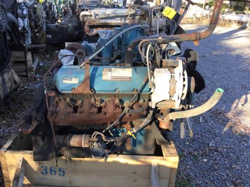 INTERNATIONAL T444E Engine Assembly