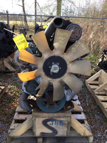 INTERNATIONAL DT466E Engine Assembly