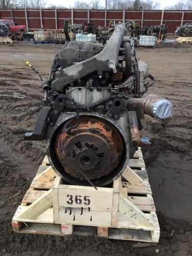 INTERNATIONAL MAXXFORCE 13 Engine Assembly
