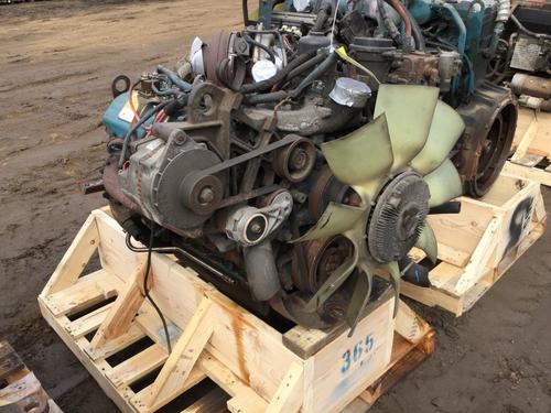INTERNATIONAL T444E Engine Assembly