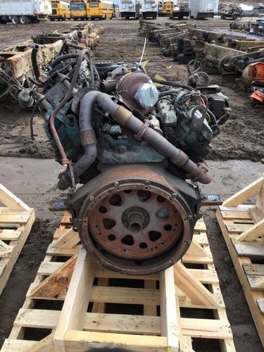 INTERNATIONAL T444E Engine Assembly
