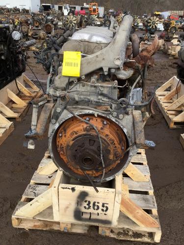 INTERNATIONAL MAXXFORCE-DT Engine Assembly