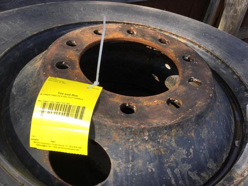   Tire and Rim