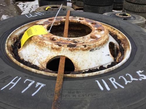   Tire and Rim