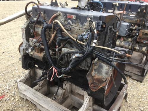 CUMMINS ISM Engine Assembly