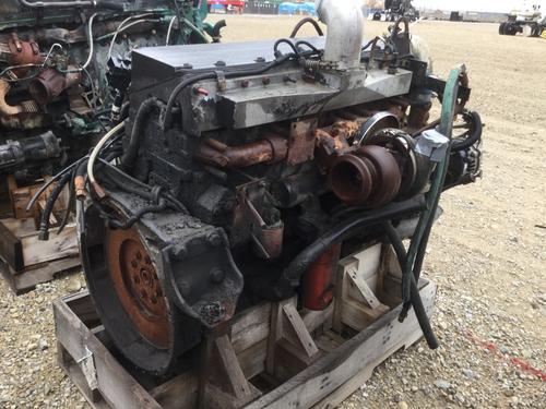 CUMMINS ISM Engine Assembly