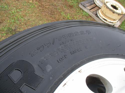   Tire and Rim