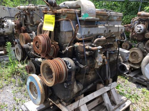 CUMMINS BCII Engine Assembly