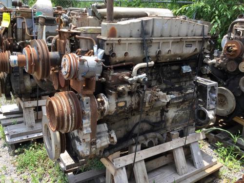 CUMMINS BCII Engine Assembly