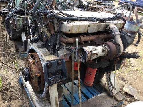 CUMMINS L10 Engine Assembly