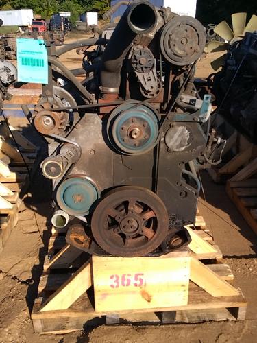 INTERNATIONAL NGD 466 Engine Assembly