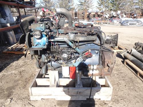 INTERNATIONAL DT 466 Engine Assembly