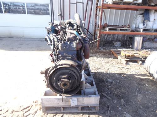 INTERNATIONAL DT 466 Engine Assembly