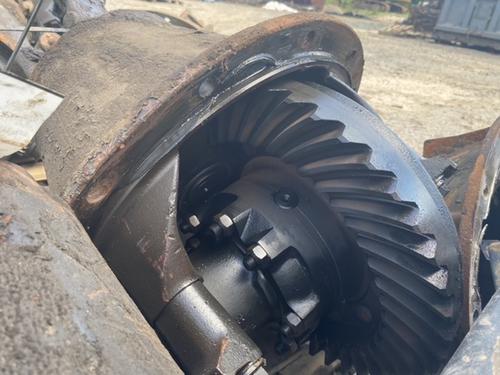 INTERNATIONAL  Rears (Rear)