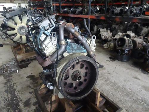 INTERNATIONAL VT 365 Engine Assembly