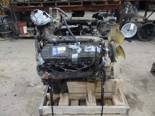INTERNATIONAL 6.0L Engine Assembly