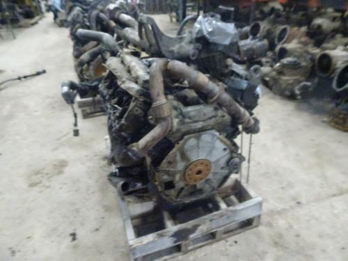 INTERNATIONAL 6.0L Engine Assembly