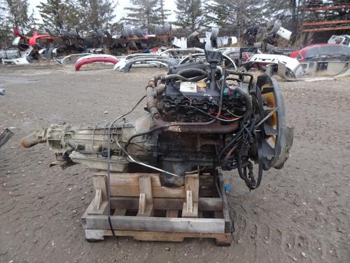 INTERNATIONAL 6.0L Engine Assembly