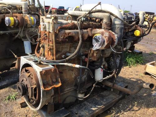 CUMMINS BCI Engine Assembly