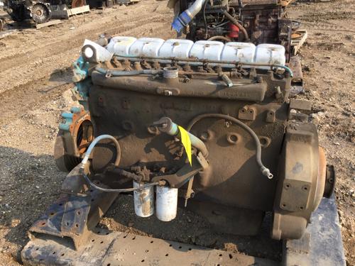 INTERNATIONAL DT466 Engine Assembly