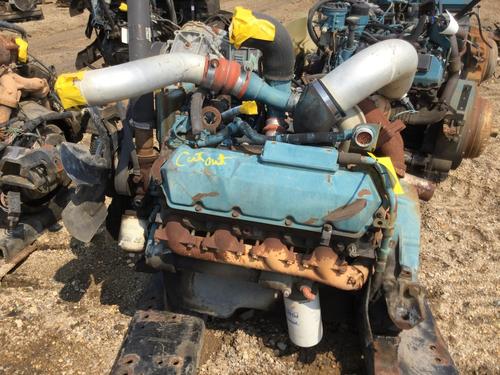 INTERNATIONAL T444E Engine Assembly