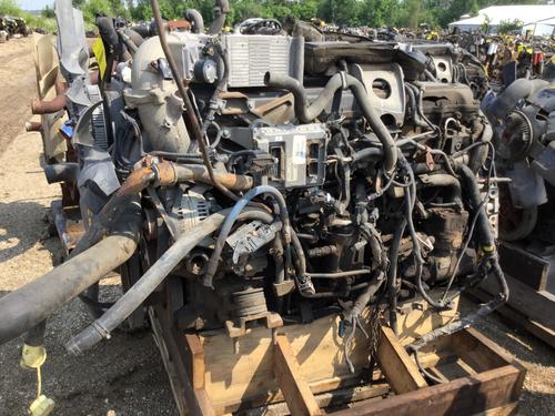 INTERNATIONAL MAXXFORCE 13 Engine Assembly