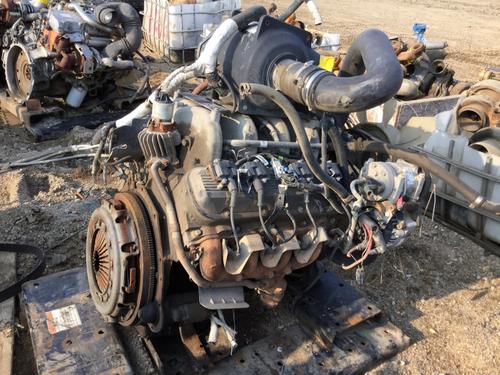 INTERNATIONAL  Engine Assembly