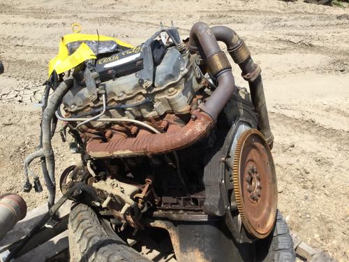INTERNATIONAL 6.0L Engine Assembly