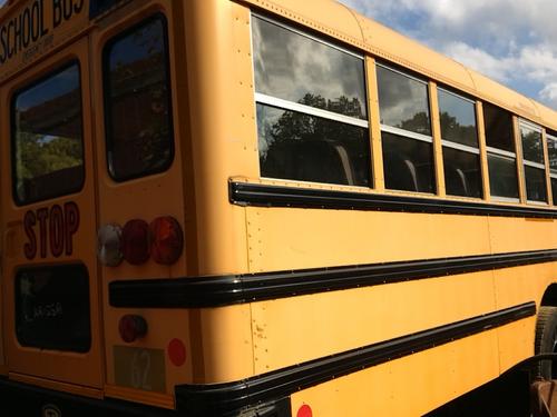 INTERNATIONAL 3000 BUS