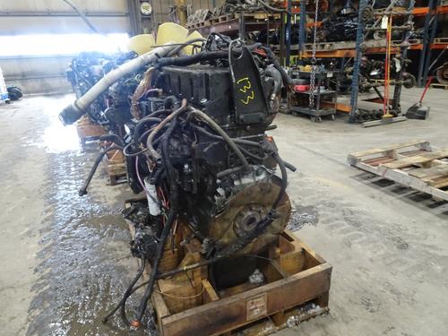 CUMMINS ISM Engine Assembly