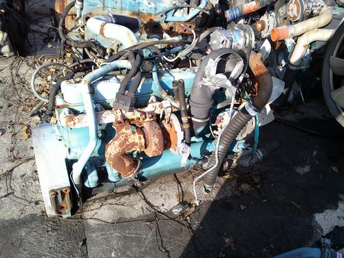 INTERNATIONAL  Engine Assembly