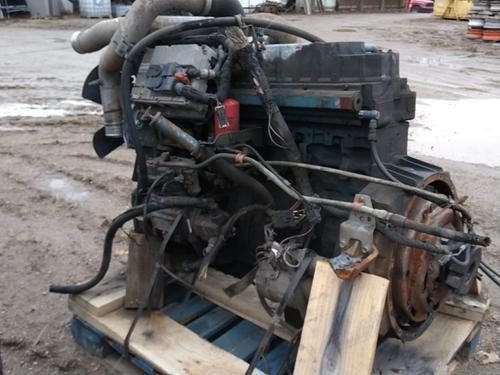 INTERNATIONAL DT466E Engine Assembly