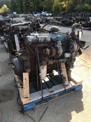 INTERNATIONAL DT 466 NGD Engine Assembly