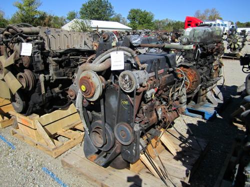 CUMMINS L10 Engine Assembly