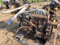 International item in auction