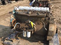 International item in auction