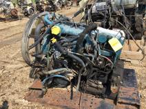 International item in auction