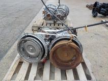 Allison item in auction