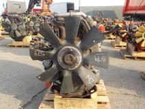 International item in auction