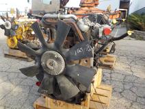 International item in auction