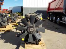 International item in auction