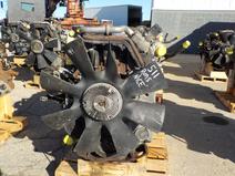 International item in auction