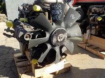 International item in auction